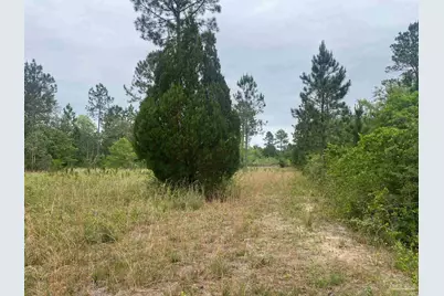 01 Walther Rd, Milton, FL 32570 - Photo 3