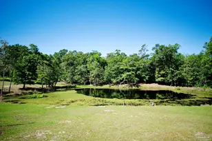2001 Chavers Rd, Cantonment, FL 32533 - Photo 29