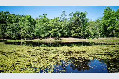2001 Chavers Rd, Cantonment, FL 32533 - Photo 51
