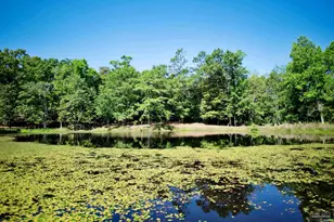 2001 Chavers Rd, Cantonment, FL 32533 - Photo 51