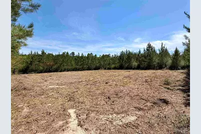 0000 Mineral Springs Rd, Jay, FL 32565 - Photo 7