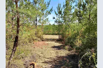 0000 Mineral Springs Rd, Jay, FL 32565 - Photo 5