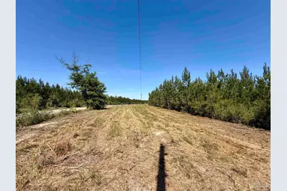 0000 Mineral Springs Rd, Jay, FL 32565 - Photo 3