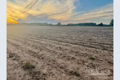 000 Hwy 89, Milton, FL 32570 - Photo 3