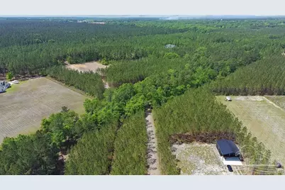 11.42 Acres Edge Forest Way, Pace, FL 32571 - Photo 17