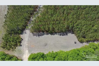 11.42 Acres Edge Forest Way, Pace, FL 32571 - Photo 17