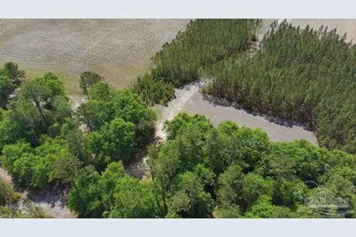 11.42 Acres Edge Forest Way, Pace, FL 32571 - Photo 27
