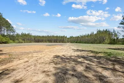 11.42 Acres Edge Forest Way, Pace, FL 32571 - Photo 15