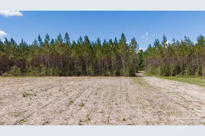 11.42 Acres Edge Forest Way, Pace, FL 32571 - Photo 37