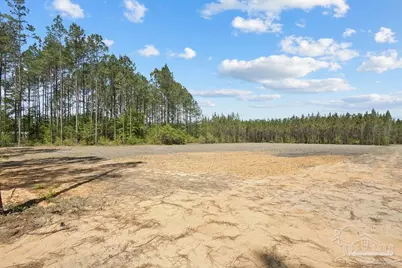 11.42 Acres Edge Forest Way, Pace, FL 32571 - Photo 7