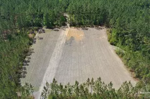 11 42 Acres Edge Forest Way, Pace, FL 32571 - Photo 1