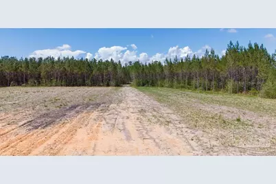 11.42 Acres Edge Forest Way, Pace, FL 32571 - Photo 35