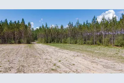 11.42 Acres Edge Forest Way, Pace, FL 32571 - Photo 33