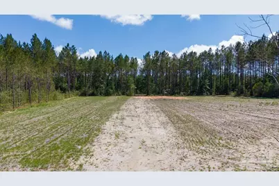 11.42 Acres Edge Forest Way, Pace, FL 32571 - Photo 37