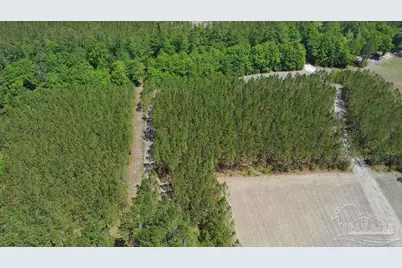 11.42 Acres Edge Forest Way, Pace, FL 32571 - Photo 15