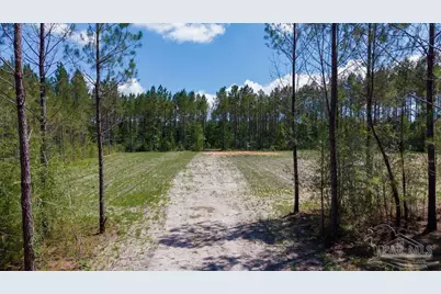 11.42 Acres Edge Forest Way, Pace, FL 32571 - Photo 39