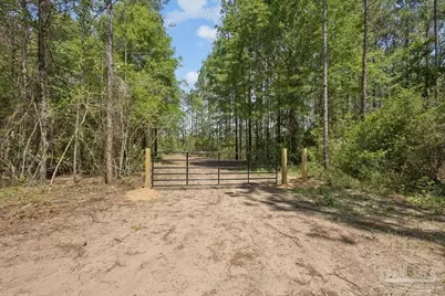 11.42 Acres Edge Forest Way, Pace, FL 32571 - Photo 5