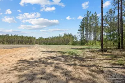 11.42 Acres Edge Forest Way, Pace, FL 32571 - Photo 7