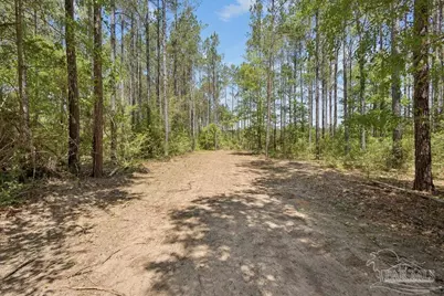 11.42 Acres Edge Forest Way, Pace, FL 32571 - Photo 11