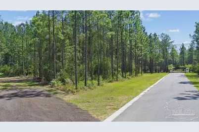 11.42 Acres Edge Forest Way, Pace, FL 32571 - Photo 5