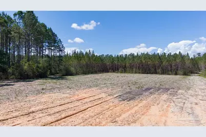 11.42 Acres Edge Forest Way, Pace, FL 32571 - Photo 31