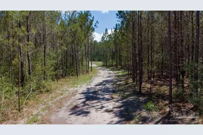 11.42 Acres Edge Forest Way, Pace, FL 32571 - Photo 29