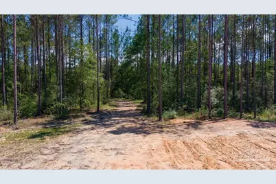 11.42 Acres Edge Forest Way, Pace, FL 32571 - Photo 35