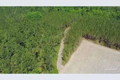 11.42 Acres Edge Forest Way, Pace, FL 32571 - Photo 25