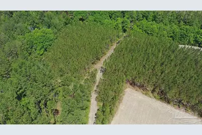 11.42 Acres Edge Forest Way, Pace, FL 32571 - Photo 23