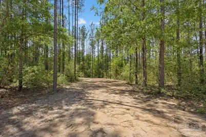 11.42 Acres Edge Forest Way, Pace, FL 32571 - Photo 1