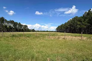 4400 Blk N Hwy 99, Walnut Hill, FL 32568 - Photo 1