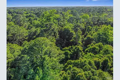 700 Wayne Ave, Pensacola, FL 32507 - Photo 19