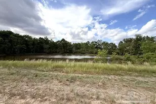 Lot 2 & 3 Tungoil Rd, Walnut Hill, FL 32568 - Photo 1