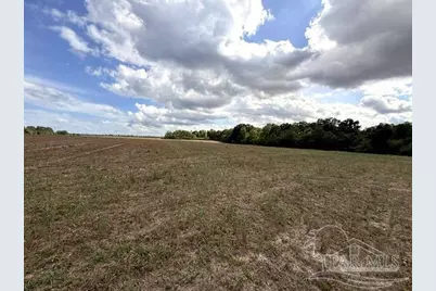 Lot 2 & 3 Tungoil Rd, Walnut Hill, FL 32568 - Photo 9