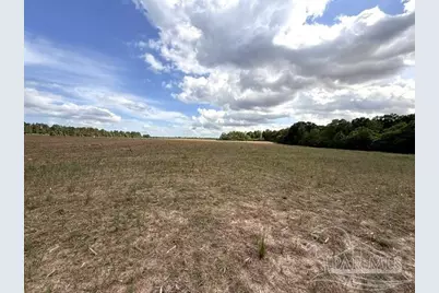 Lot 2 & 3 Tungoil Rd, Walnut Hill, FL 32568 - Photo 5