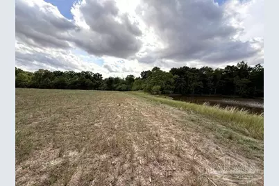 Lot 2 & 3 Tungoil Rd, Walnut Hill, FL 32568 - Photo 3