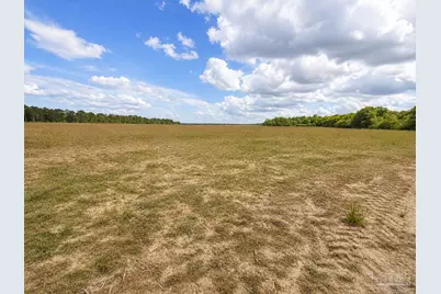 Lot 1 Tungoil Rd, Walnut Hill, FL 32568 - Photo 1