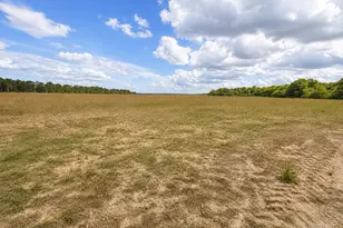 Lot 1 Tungoil Rd, Walnut Hill, FL 32568 - Photo 1