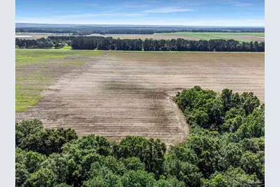 Lot 5 & 6 Hwy 97, Walnut Hill, FL 32568 - Photo 3