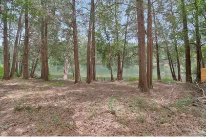 10290 W Lake Rd, Milton, FL 32583 - Photo 31