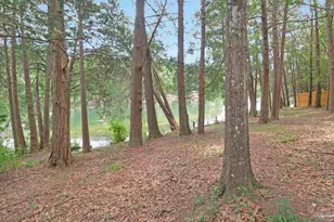 10290 W Lake Rd, Milton, FL 32583 - Photo 37