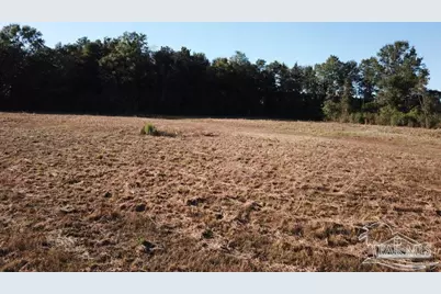 5 Acres Ard Field Rd, Jay, FL 32565 - Photo 3