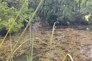 5412 Rowe Trail, Pace, FL 32571 - Photo 47