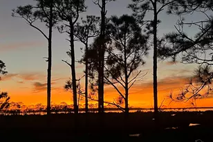 5402 N Shore Rd, Pensacola, FL 32507 - Photo 51
