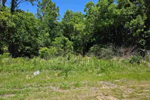 1200 Blk Gulf Beach Hwy, Pensacola, FL 32507 - Photo 3