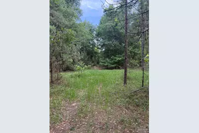 0100 Mineral Springs Rd, Jay, FL 32565 - Photo 13