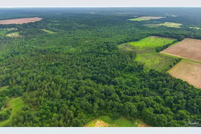 0100 Mineral Springs Rd, Jay, FL 32565 - Photo 7