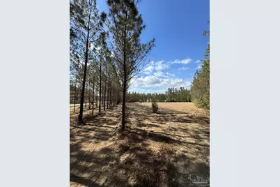Lot 53 Sage Forest Ln, Pace, FL 32571 - Photo 3