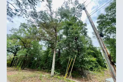 1234 Hutto Parker Rd, Milton, FL 32564 - Photo 5