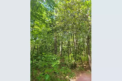 8223 N Highway 189, Baker, FL 32531 - Photo 5